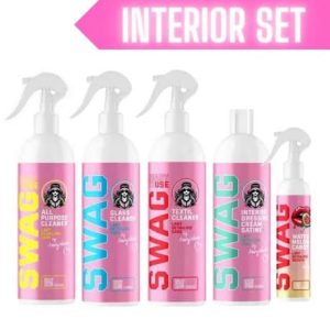 swag lady interior cleaning set